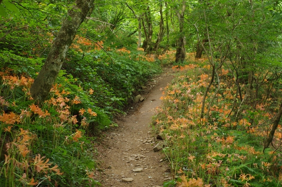c0180824_1475531.jpg