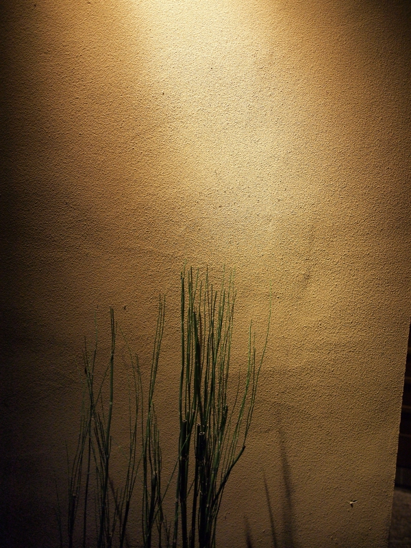 d0252924_1451189.jpg