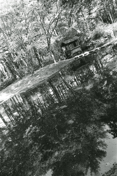 f0182924_20431393.jpg