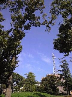 b0080027_9425821.jpg