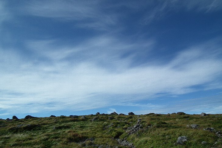 f0118332_0103916.jpg