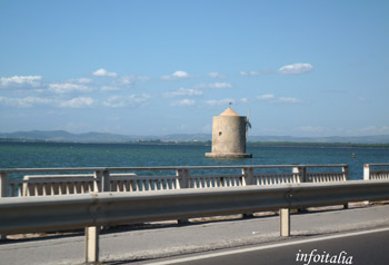 c0077533_232522.jpg
