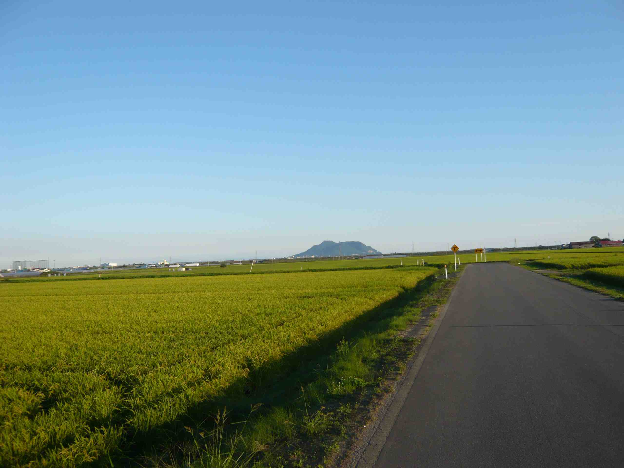 d0217833_927144.jpg