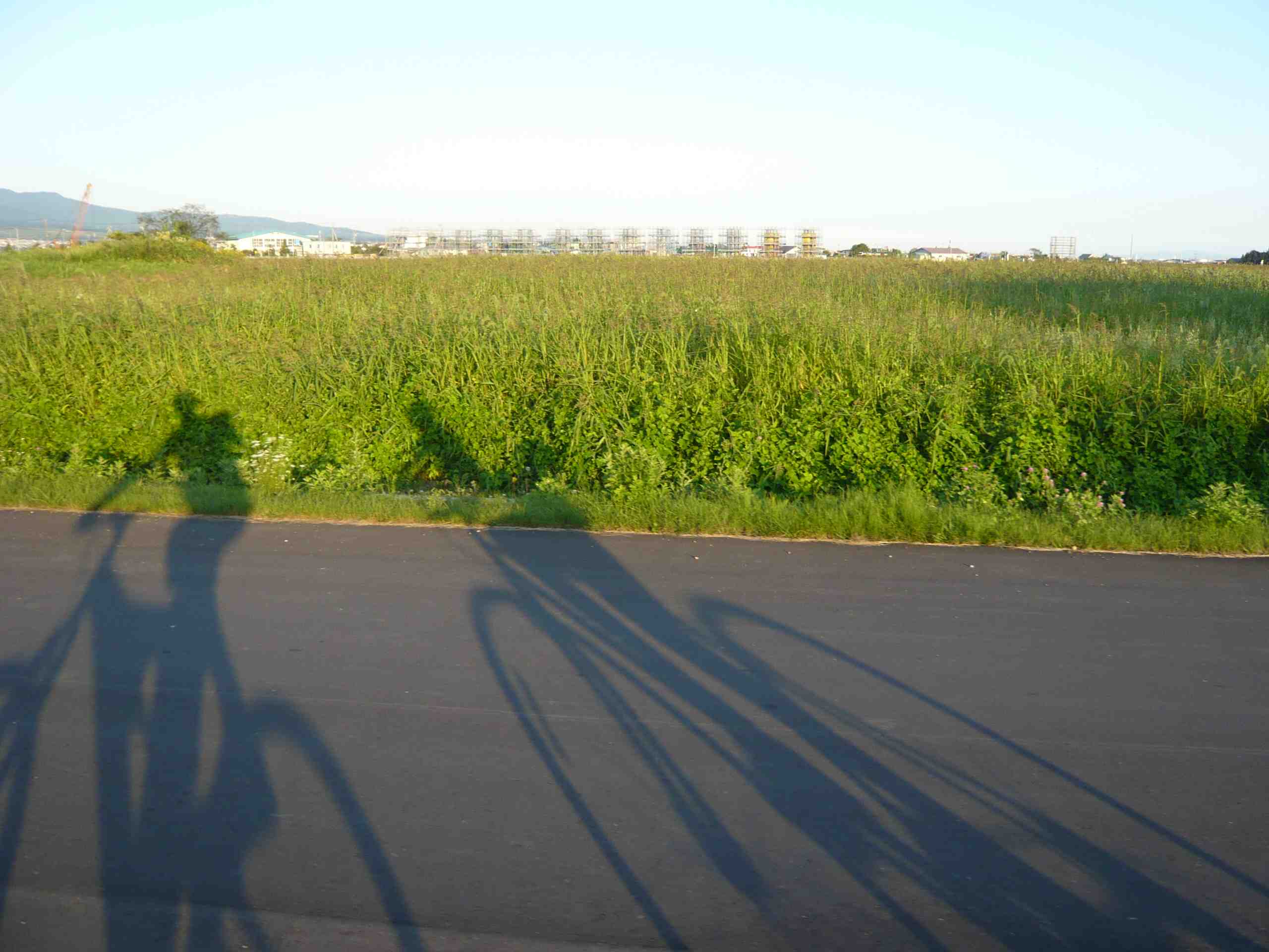 d0217833_9305976.jpg