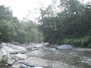 f0065341_1741412.jpg