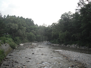 f0065341_1741496.jpg