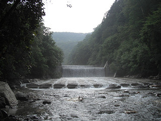 f0065341_17423314.jpg