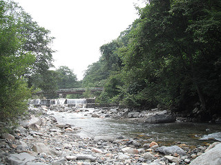 f0065341_1749487.jpg