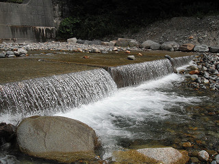 f0065341_17593158.jpg