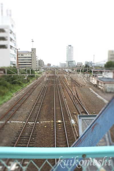 a0135743_11222117.jpg