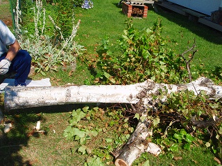 e0004756_2022206.jpg