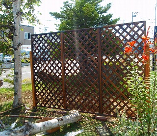 e0004756_20411081.jpg