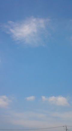 d0045362_20572030.jpg