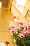 d0171563_2044186.jpg
