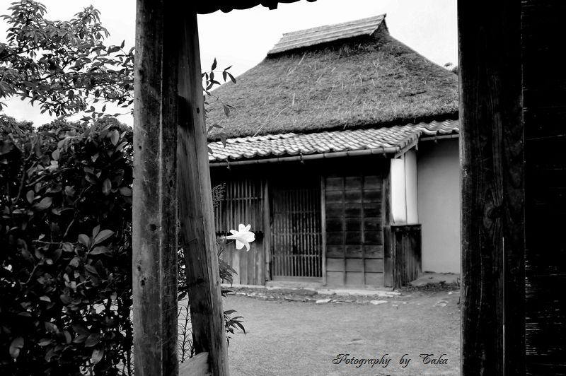 d0227966_19171955.jpg