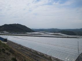 f0134669_2383417.jpg