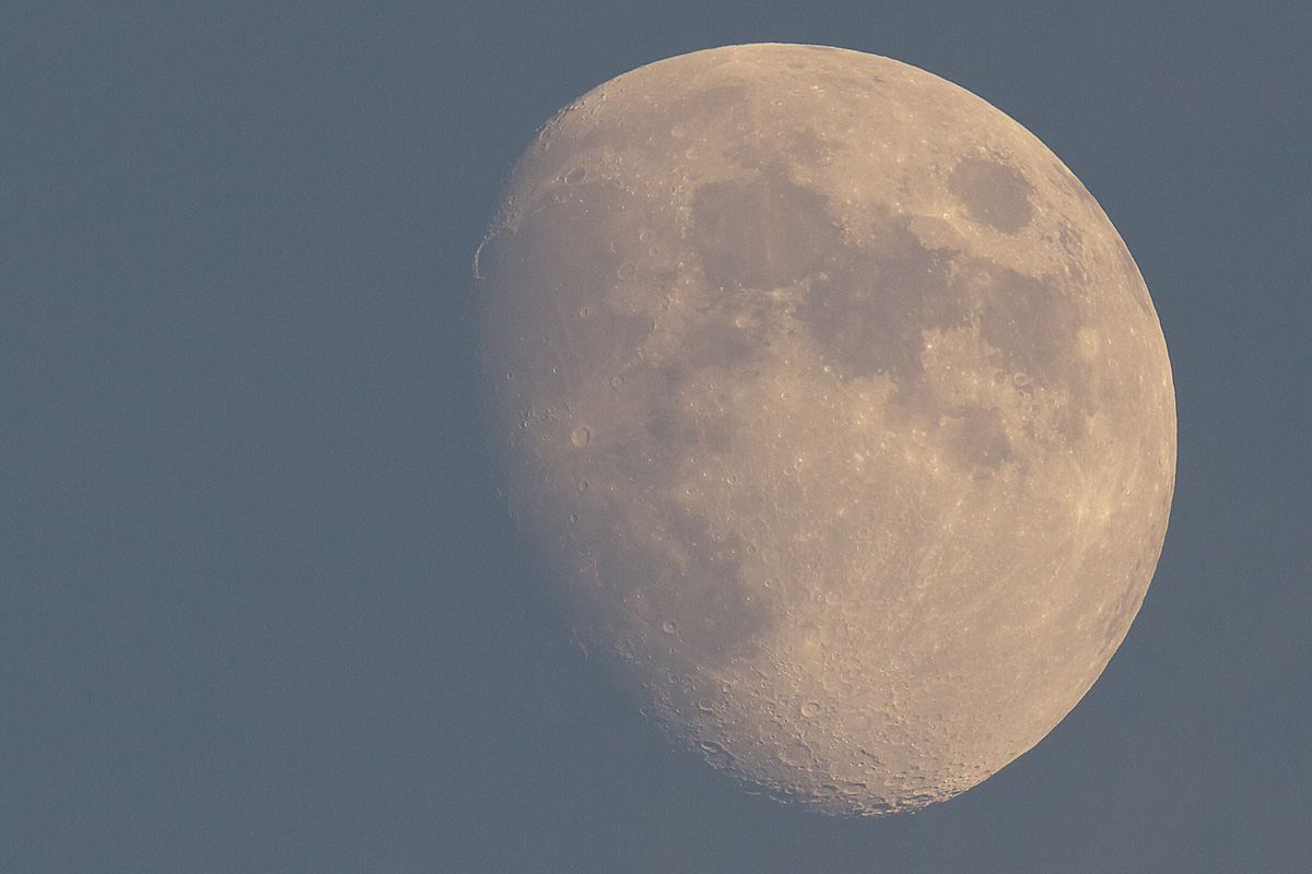 b0180476_20262650.jpg