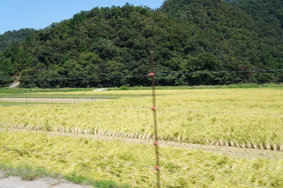 a0040978_11531172.jpg