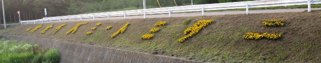 a0091680_2385997.jpg