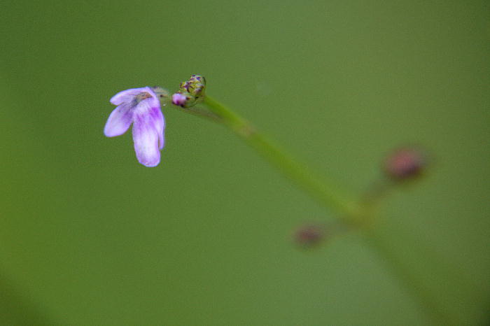 b0171185_22455448.jpg