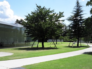 d0159199_2181286.jpg