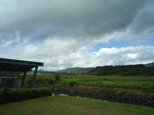 f0048405_9495496.jpg