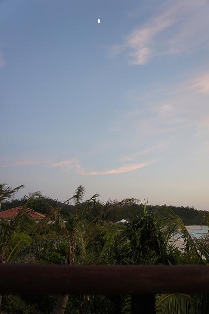 b0139906_1393894.jpg