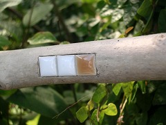 c0190010_2050125.jpg