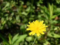c0190010_213757.jpg