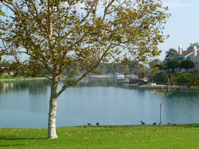 a0144811_23412299.jpg