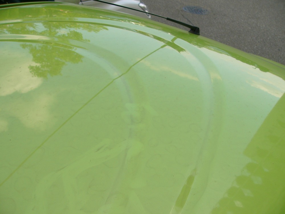 c0062511_22371571.jpg