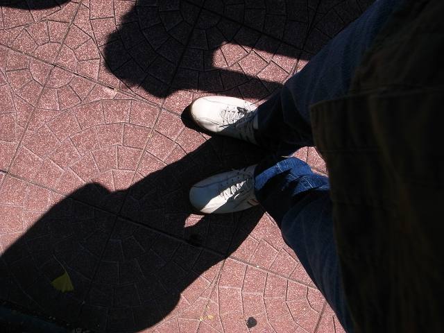 e0145711_1105494.jpg