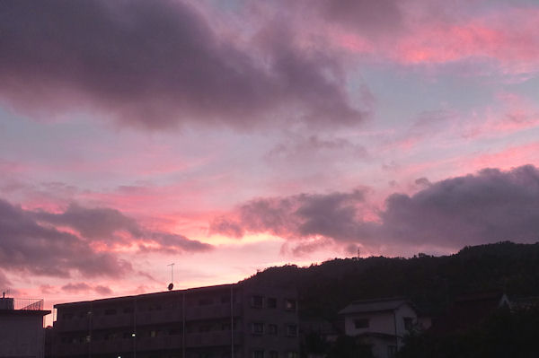 b0057612_15472160.jpg