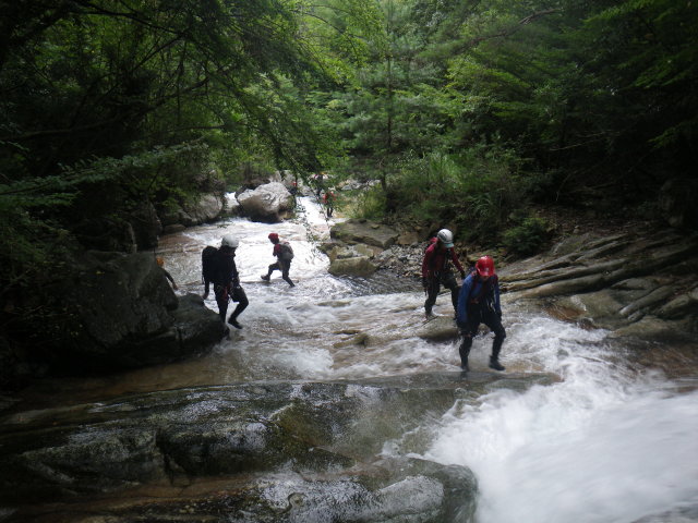 d0006512_1342283.jpg