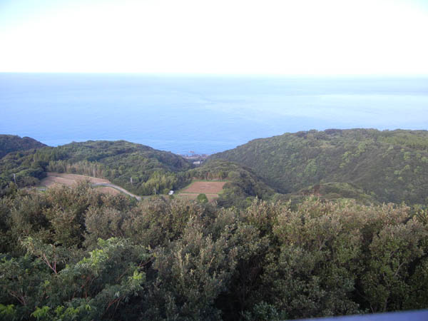 b0184113_632567.jpg