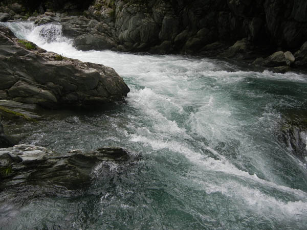 b0184113_6471049.jpg