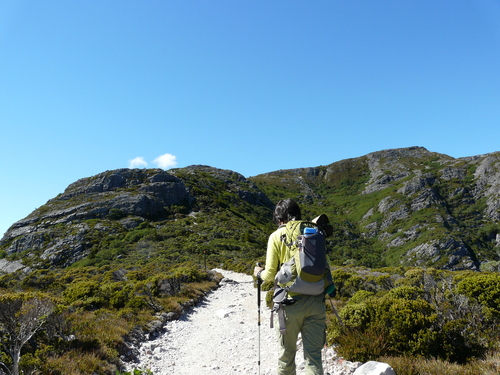 e0238313_1372669.jpg