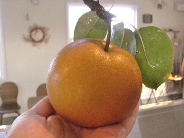 b0193517_18122895.jpg