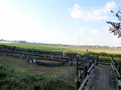 f0022024_21345860.jpg