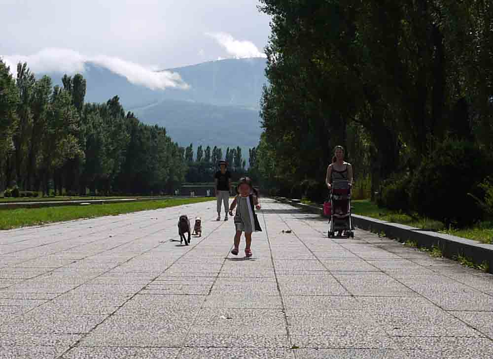 d0161525_14445629.jpg