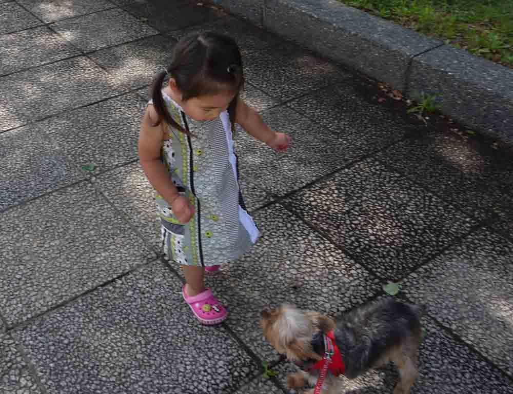 d0161525_14461040.jpg
