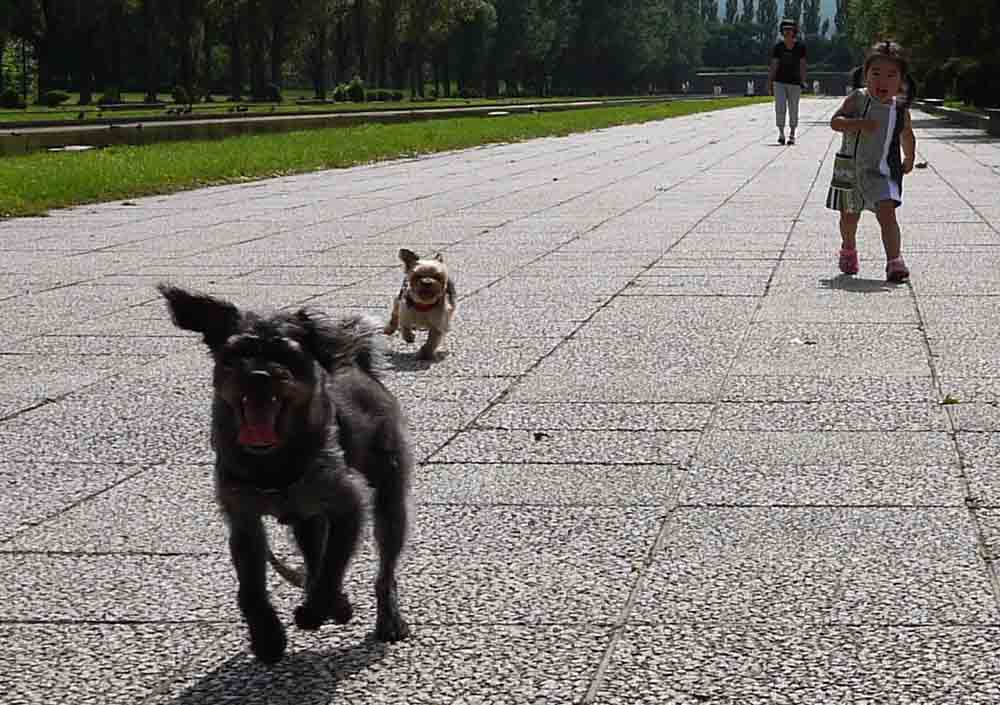 d0161525_1521798.jpg