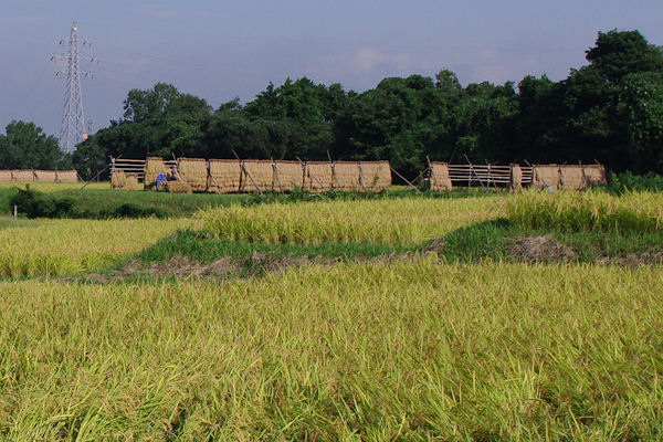 f0007926_1283654.jpg