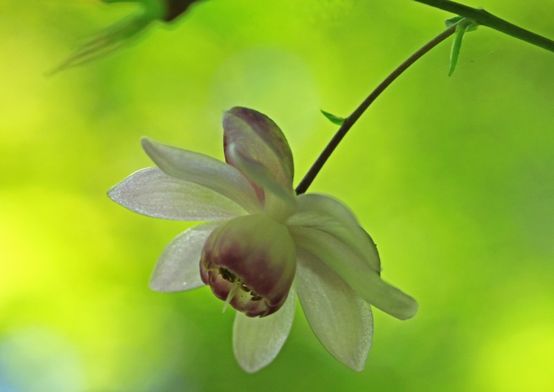 c0104227_840939.jpg