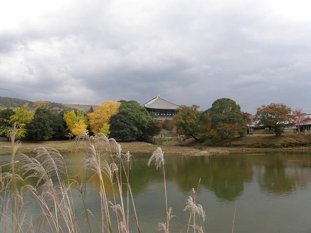 b0162728_19515436.jpg