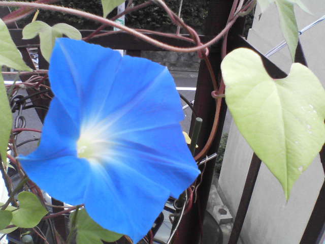 f0237037_181823.jpg