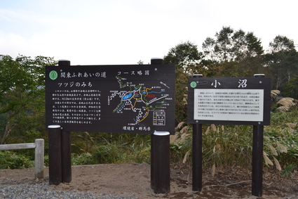 e0228938_22424577.jpg