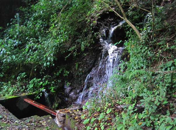 b0149340_2032569.jpg