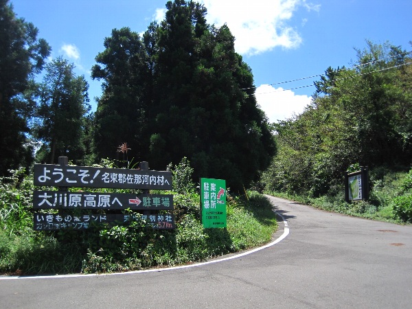 b0149340_2082353.jpg