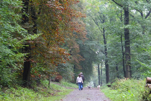 c0153740_138458.jpg
